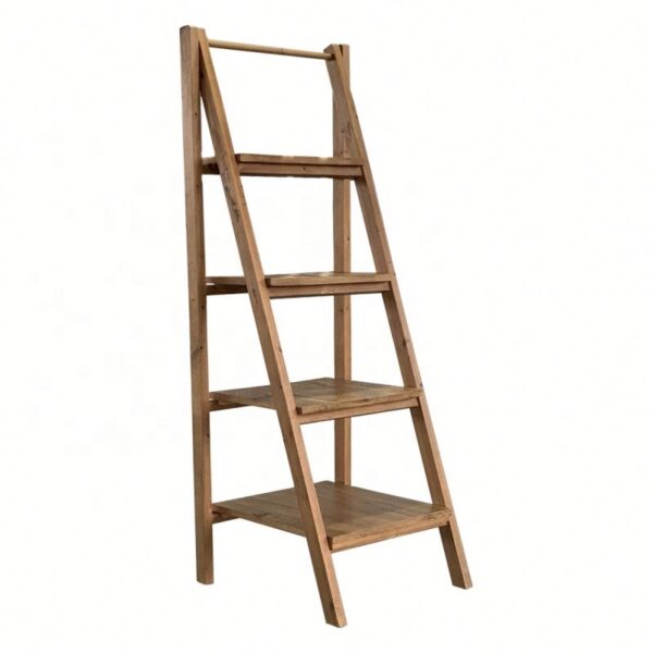 Ladder Bookshelf