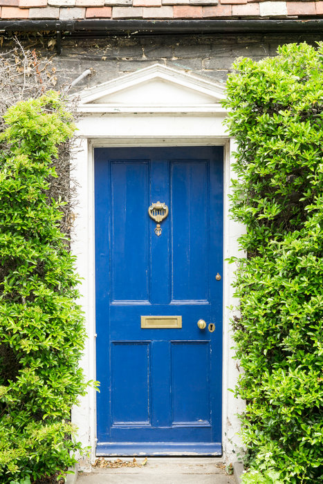 Psychological Influence of Blue Door